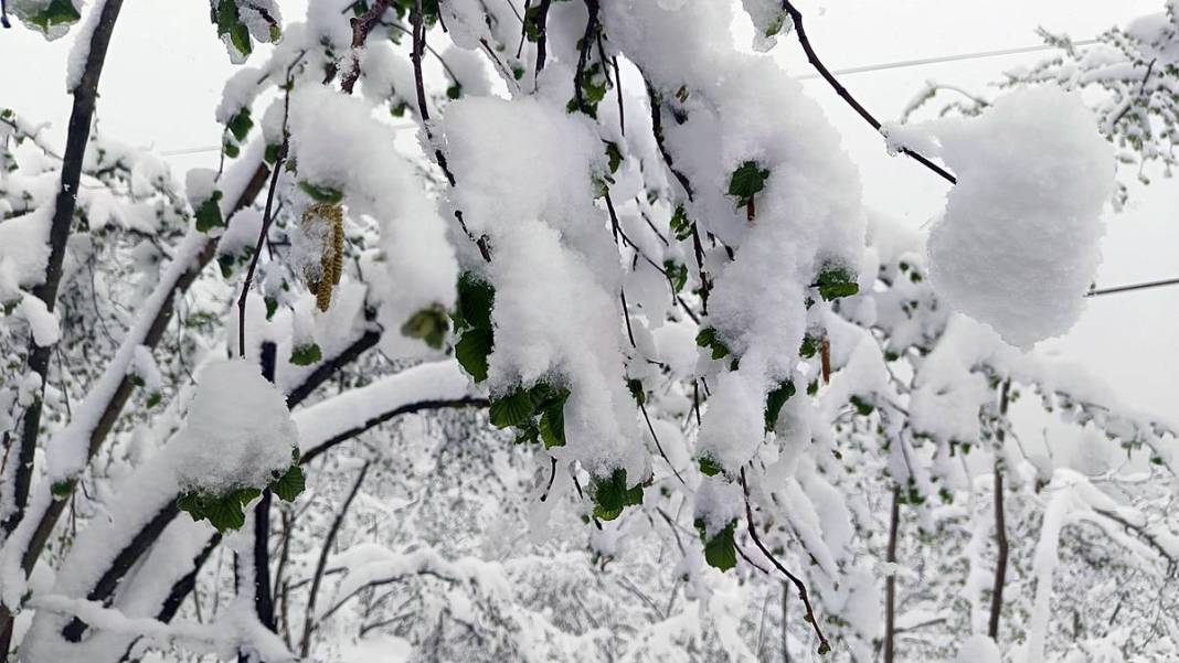Tarımda tarihin en büyük felaketi yaşanıyor! Meyve, sebze fiyatlarında rekor artış yaşanacak 14